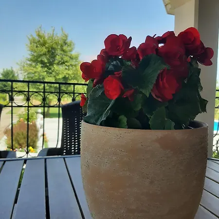 αρχοντικό παπανικολάου Vilă Ligaria (Thessalia)