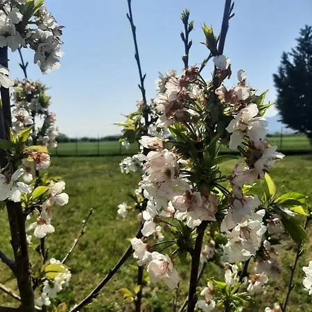 αρχοντικό παπανικολάου *