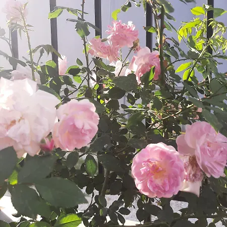 αρχοντικό παπανικολάου