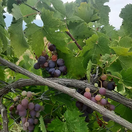 αρχοντικό παπανικολάου ヴィラ