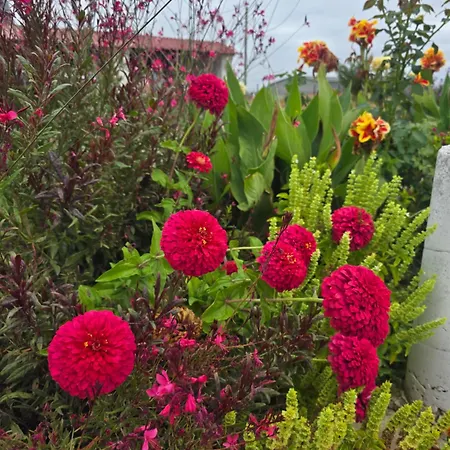 αρχοντικό παπανικολάου * Ligaria (Thessalia)