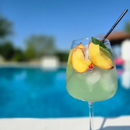 αρχοντικό παπανικολάου * Ligaria (Thessalia)