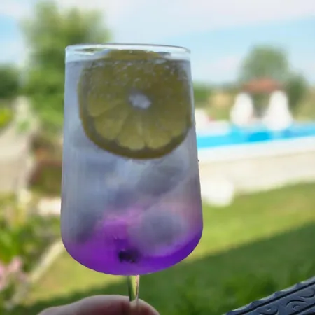 ヴィラ αρχοντικό παπανικολάου