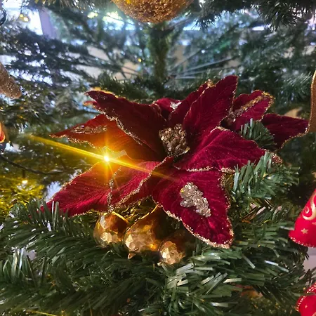 ヴィラ αρχοντικό παπανικολάου