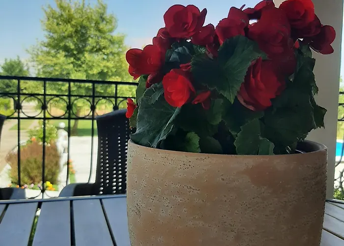 αρχοντικό παπανικολάου Villa Ligaria (Thessalia)