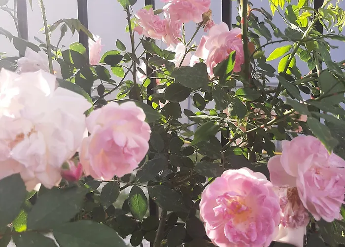 αρχοντικό παπανικολάου