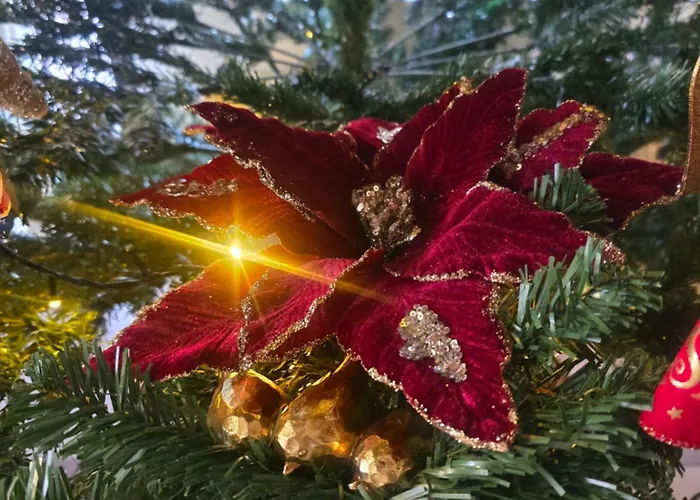 Villa αρχοντικό παπανικολάου